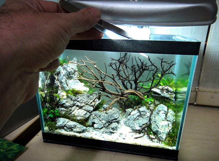 Nano Aquarium