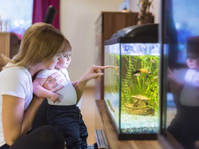 Children and Aquariums