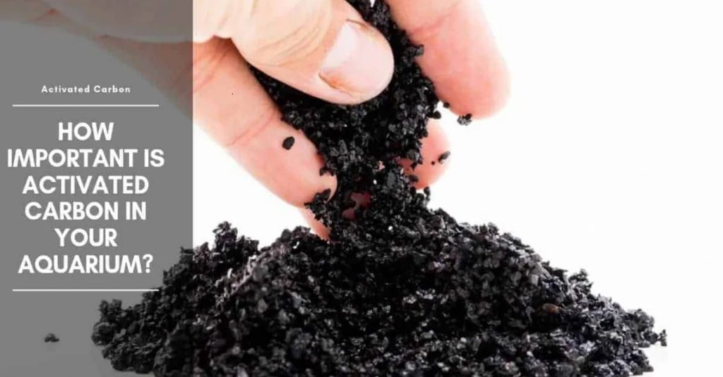 How important is activated carbon in your aquarium