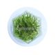 Hairgrass - Tissue culture Aquatic Plant