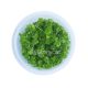 Hydrocotyle Tripartita Honda - Tissue Culture Aquarium Plant