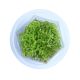 Rotala Rotundifolia Orange - Tissue Culture Aquarium Plant