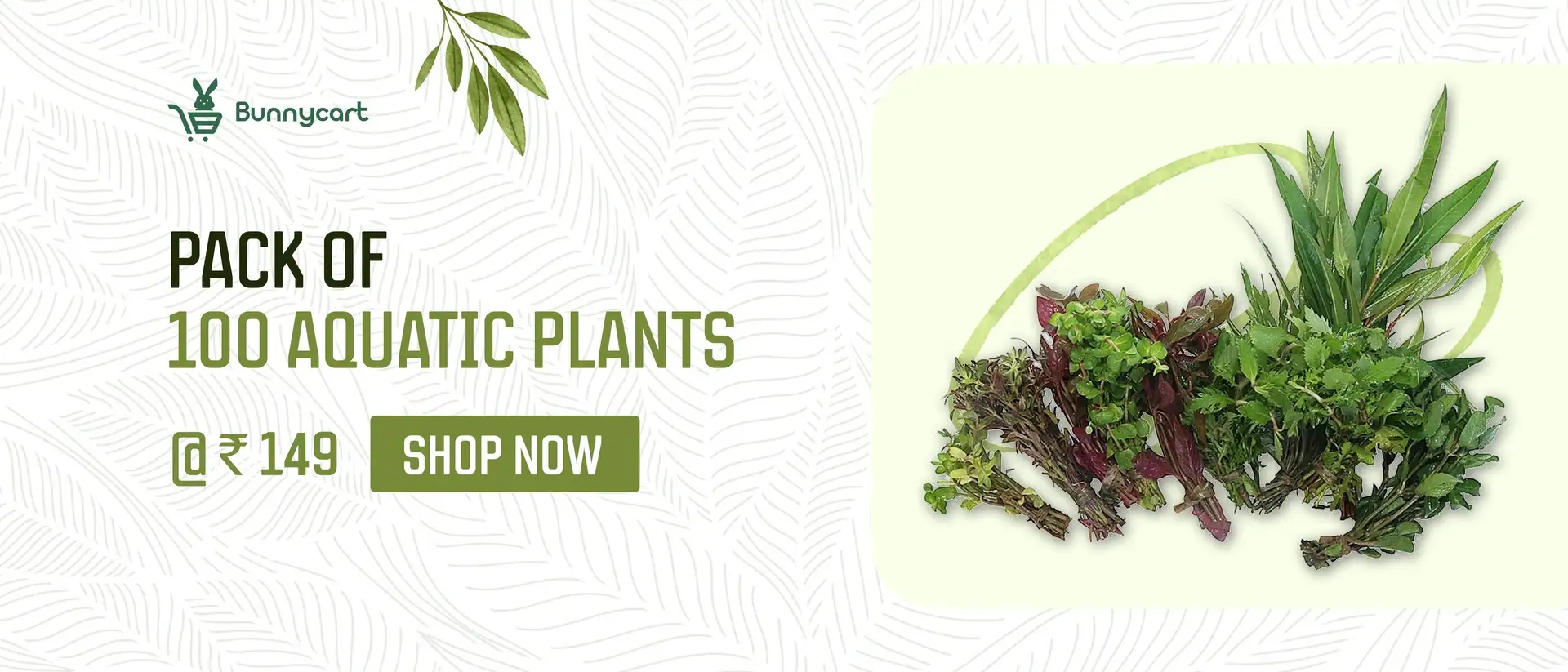 Pack_Off_100_Aquatic_Plants