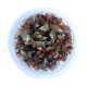 Alternanthera reineckii 'Mini' - Tissue culture Aquatic Plant