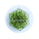 Dwarf Hairgrass - Tissue Culture Aquarium Plant