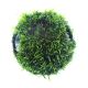 Java moss coconut cave
