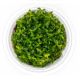  Ludwigia Dark Orange - Tissue culture Aquatic Plant