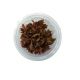 Alternanthera reineckii 'Rosanervig'  - Tissue culture Aquatic Plant