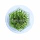 Dwarf Hairgrass - Tissue Culture Aquarium Plant