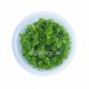 Hydrocotyle Tripartita Honda - Tissue Culture Aquarium Plant