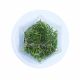 Lilaeopsis brasiliensis - Tissue Culture Aquarium Plant