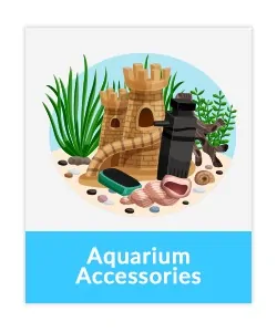 aquarium plants Live