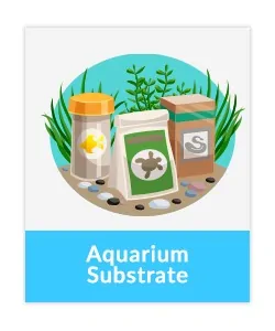 aquarium plants online India